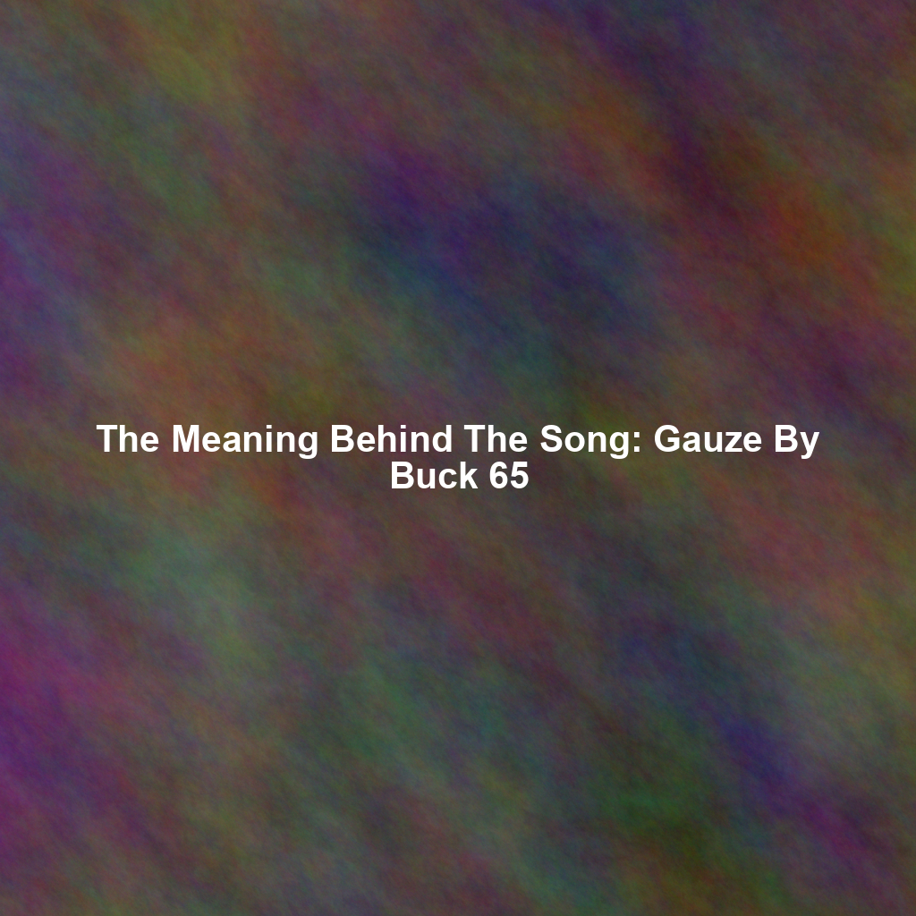 The Meaning Behind The Song: Gauze By Buck 65