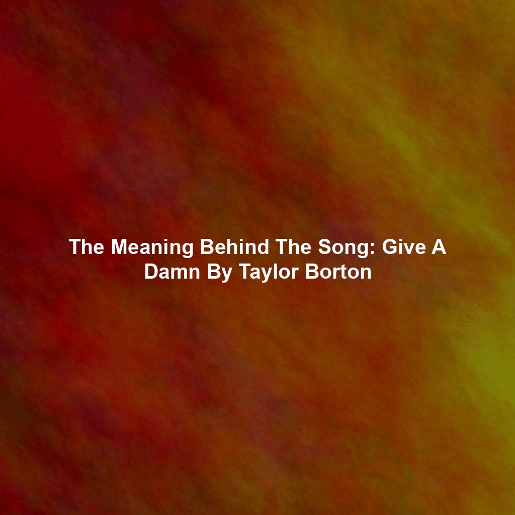 The Meaning Behind The Song: Give A Damn By Taylor Borton