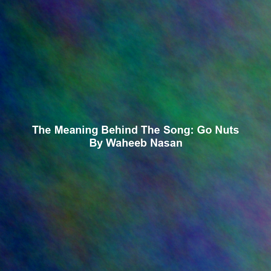 The Meaning Behind The Song: Go Nuts By Waheeb Nasan