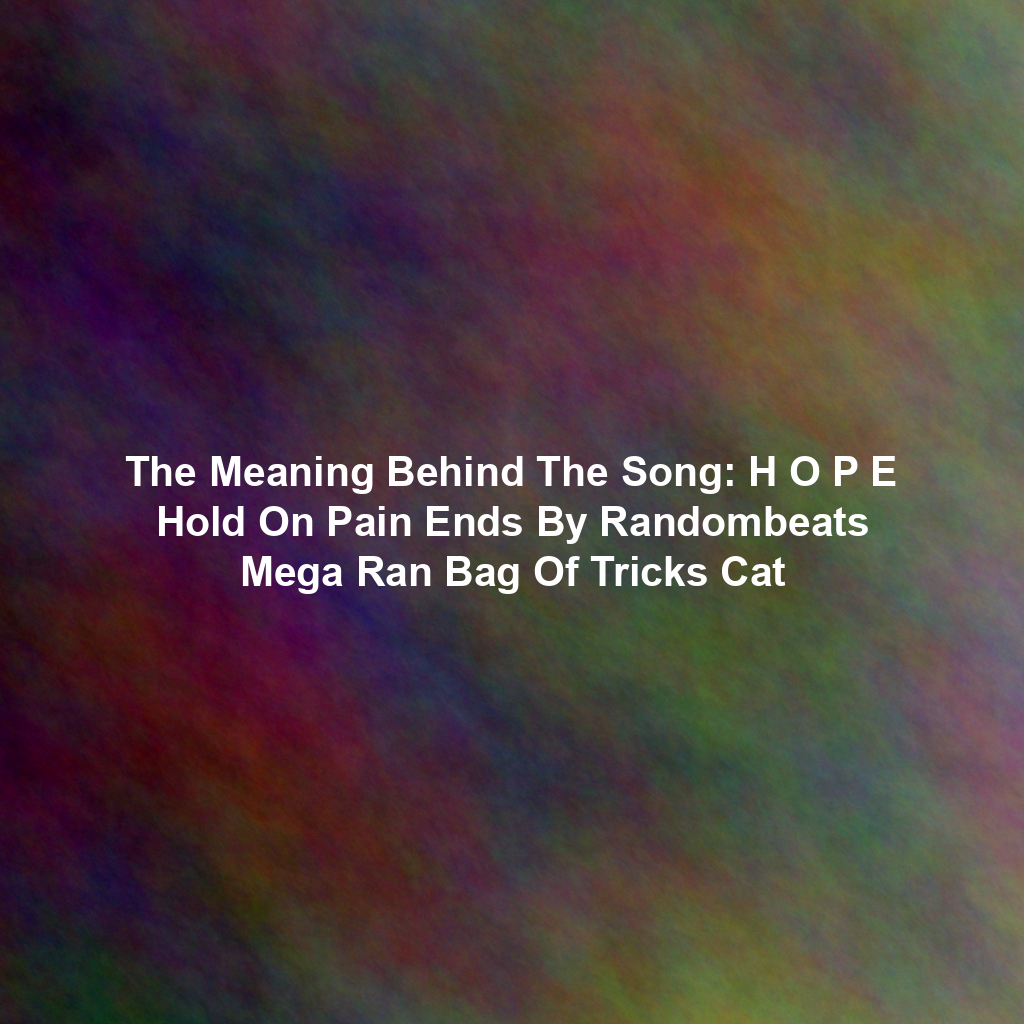 The Meaning Behind The Song: H O P E Hold On Pain Ends By Randombeats Mega Ran Bag Of Tricks Cat