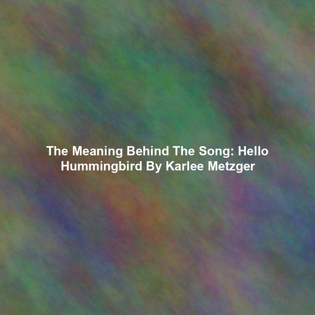 The Meaning Behind The Song: Hello Hummingbird By Karlee Metzger