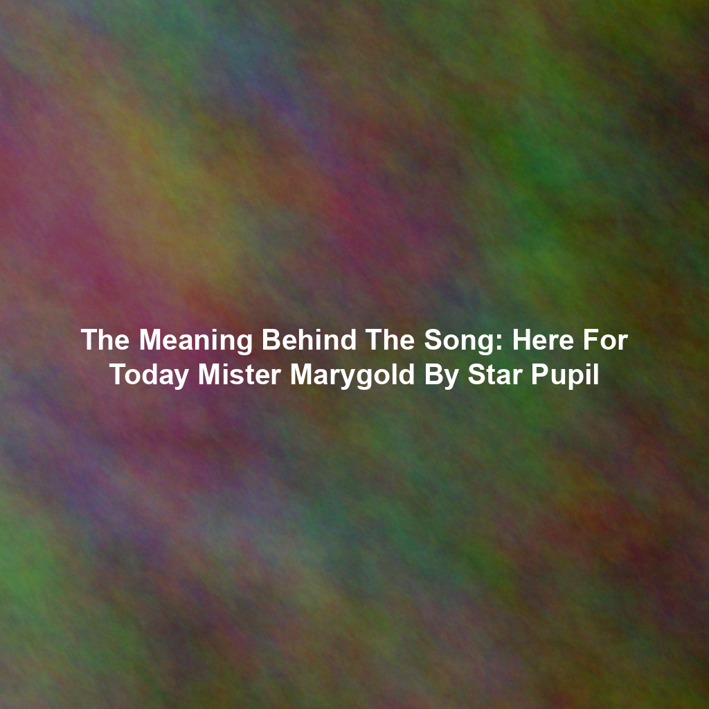 The Meaning Behind The Song: Here For Today Mister Marygold By Star Pupil