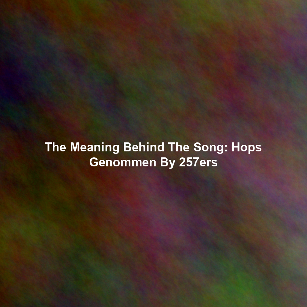 The Meaning Behind The Song: Hops Genommen By 257ers